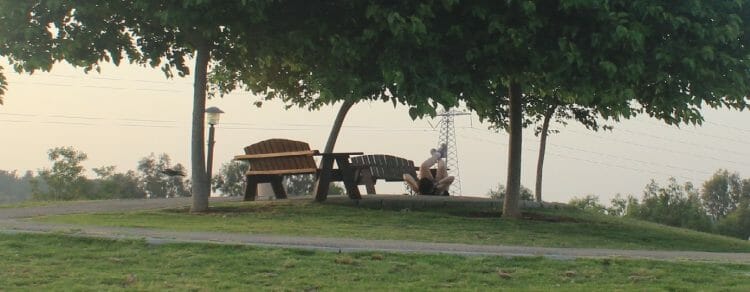 sustainability-company