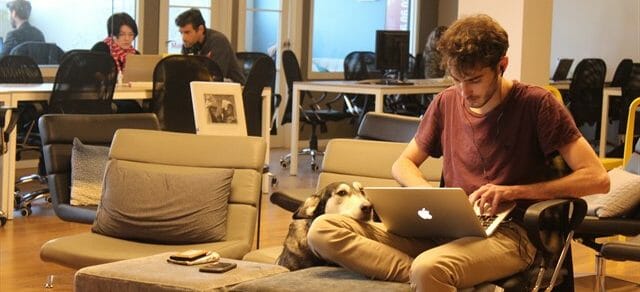 Quiet-work-environment